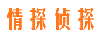 桐城市婚姻调查